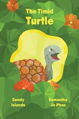 The Timid Turtle 1