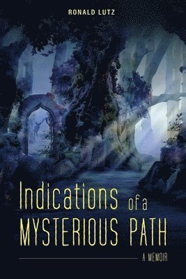 bokomslag Indications of a Mysterious Path