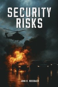 bokomslag Security Risks