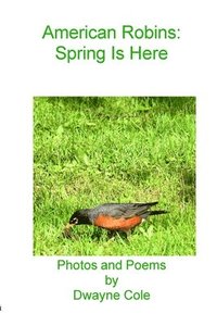 bokomslag American Robins