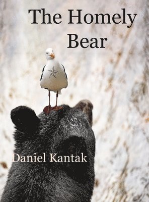 bokomslag The Homely Bear
