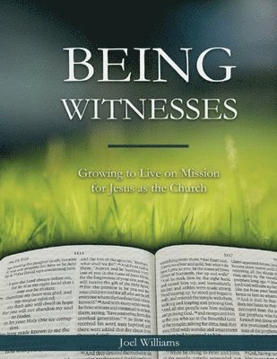 Being Witnesses