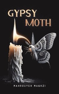 bokomslag Gypsy Moth