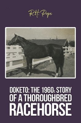 bokomslag Doketo: The 1960s Story of a Thoroughbred Racehorse