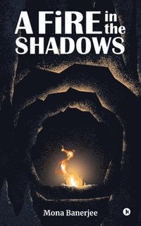 bokomslag Fire in the Shadows