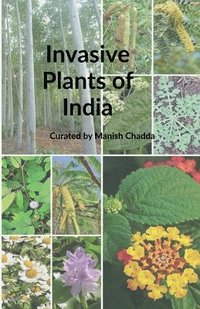 bokomslag Invasive Plants of India