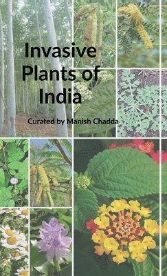 bokomslag Invasive Plants of India