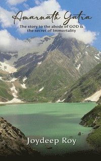 bokomslag Amarnath Yatra