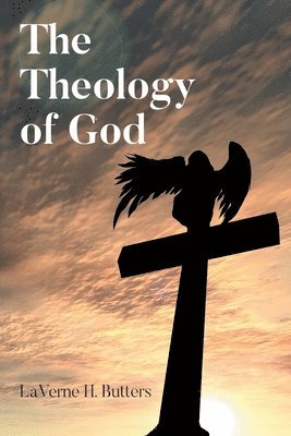 bokomslag Theology of God