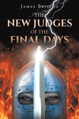 bokomslag New Judges of the Final Days