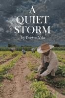 bokomslag Quiet Storm