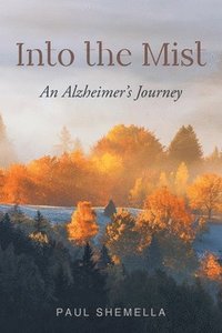 bokomslag Into the Mist
