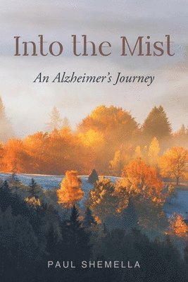 bokomslag Into the Mist
