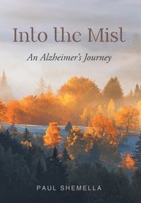bokomslag Into the Mist