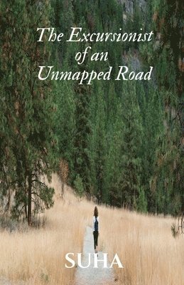 The Excursionist of an Unmapped Road 1