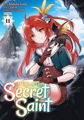 bokomslag A Tale of the Secret Saint (Manga) Vol. 11