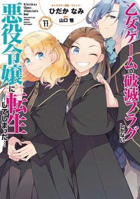 bokomslag My Next Life as a Villainess: All Routes Lead to Doom! (Manga) Vol. 11