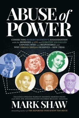 bokomslag Abuse of Power