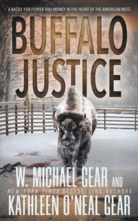 bokomslag Buffalo Justice