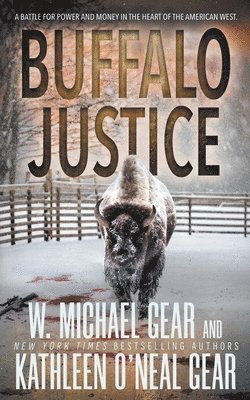 bokomslag Buffalo Justice