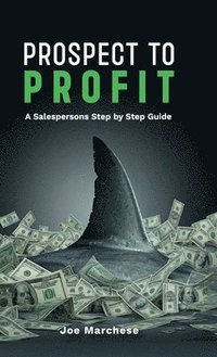 bokomslag Prospect to Profit, A salespersons step by step guide