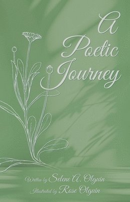 A Poetic Journey 1