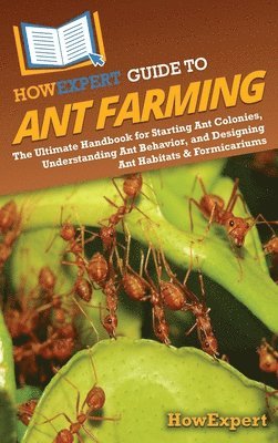 bokomslag HowExpert Guide to Ant Farming