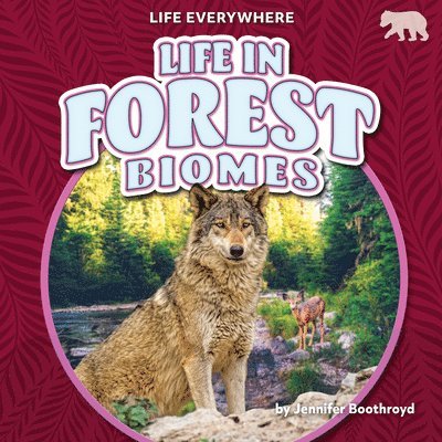 Jennifer Boothroyd - Life in Forest Biomes, Inbunden