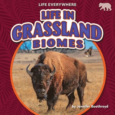 Jennifer Boothroyd - Life in Grassland Biomes, Inbunden