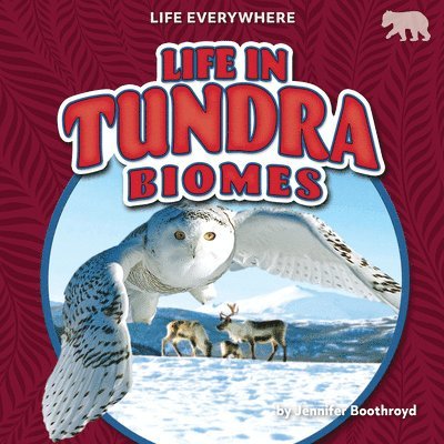 Jennifer Boothroyd - Life in Tundra Biomes, Inbunden
