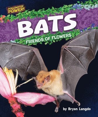 Bats: Friends of Flowers
