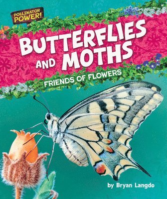 Butterflies and Moths: Friends of Flowers