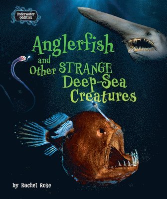 Anglerfish and Other Strange Deep-Sea Creatures