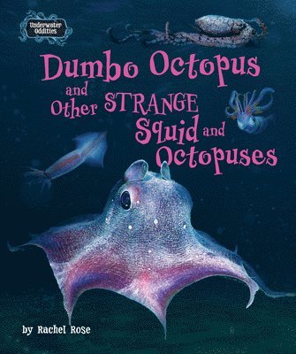 Rachel Rose - Dumbo Octopus and Other Strange Squid and Octopuses, Inbunden