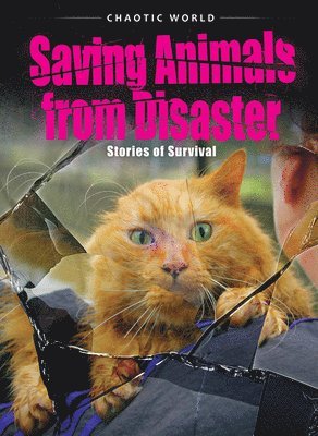 Saving Animals from Disaster: Stories of Survival
