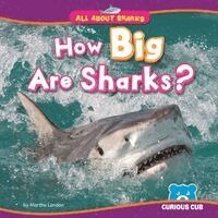 Martha London - How Big Are Sharks?, Inbunden