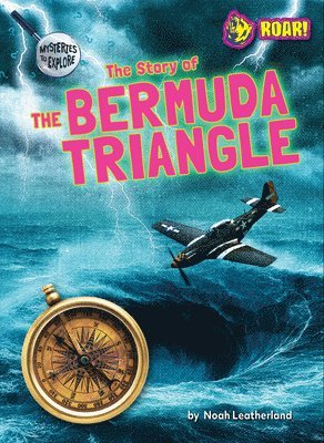 The Story of the Bermuda Triangle