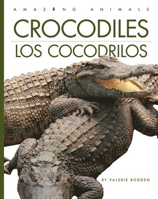 bokomslag Crocodiles / Los Cocodrilos: Bilingual Edition