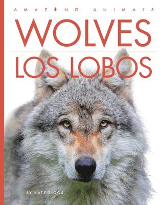 Kate Riggs - Wolves / Los Lobos, Inbunden
