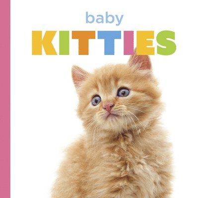 Laura K. Murray, Laura K Murray - Baby Kitties, Inbunden