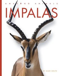 bokomslag Impalas