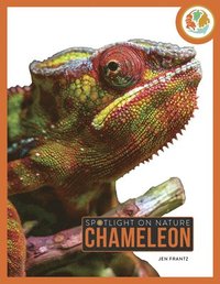 bokomslag Chameleon