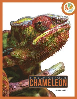 bokomslag Chameleon