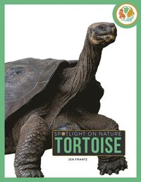 bokomslag Tortoise