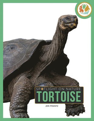 bokomslag Tortoise