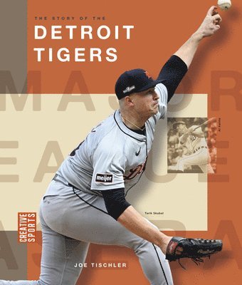 bokomslag The Story of the Detroit Tigers