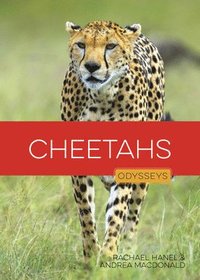 bokomslag Cheetahs