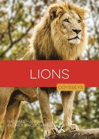 bokomslag Lions