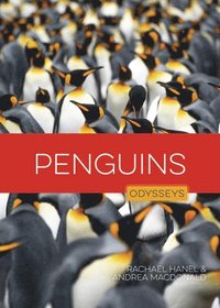bokomslag Penguins