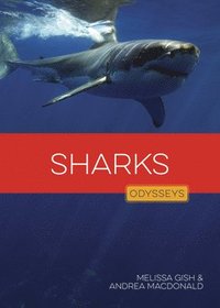 bokomslag Sharks